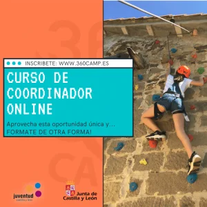 ? CURSO DE COORDINADOR ONLINE
